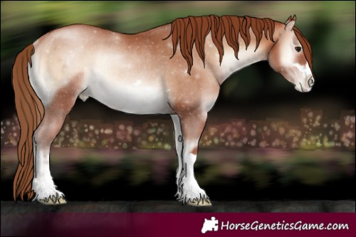 Horse Color:Brown Pearl Onyx Rabicano 
