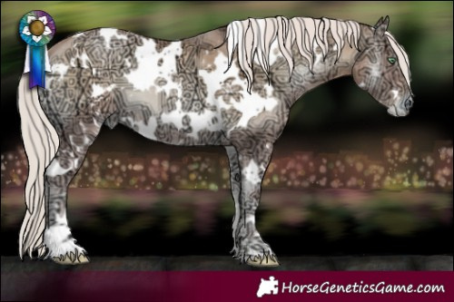 Horse Color:White Spotted Chocolate Palomino Ice Pearl Onyx 