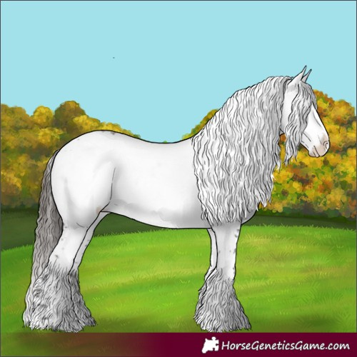 Horse Color:Liver Chestnut Frame