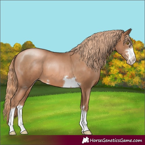 Horse Color:Liver Chestnut Pearl