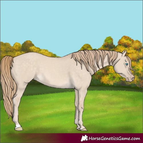 Horse Color:Perlino Dun 