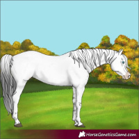Horse Color:Black Frame 