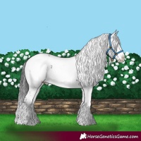 Horse Color:Black Frame 