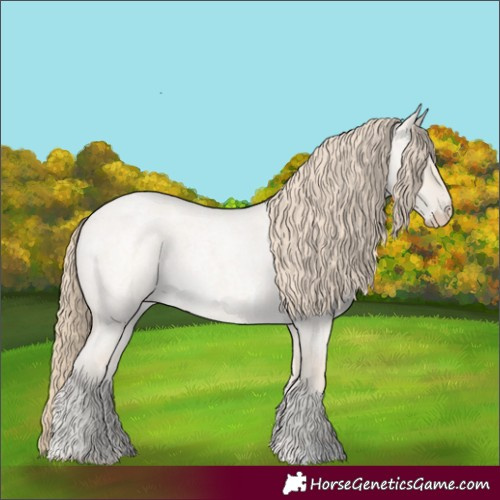 Horse Color:Smoky Creme Roan Dun 