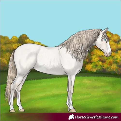 Horse Color:Smoky Creme Roan Dun 