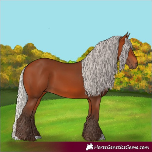 Horse Color:Silver Bay 
