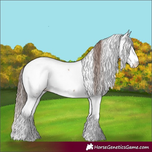 Horse Color:Classic Champagne Appaloosa 