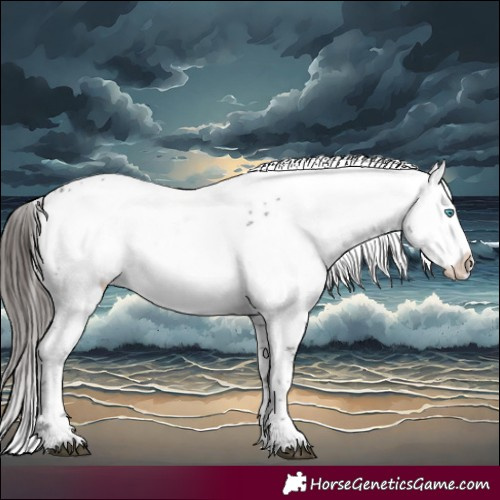 Horse Color:Liver Chestnut Frame 