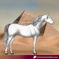 Horse Color:Liver Chestnut Frame 