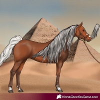 Horse Color:Silver Bay