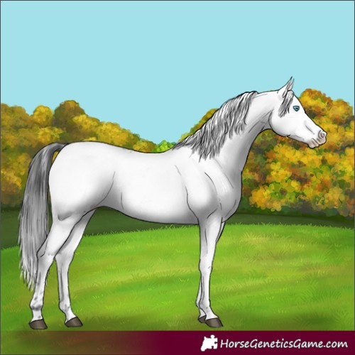 Horse Color:Black Frame