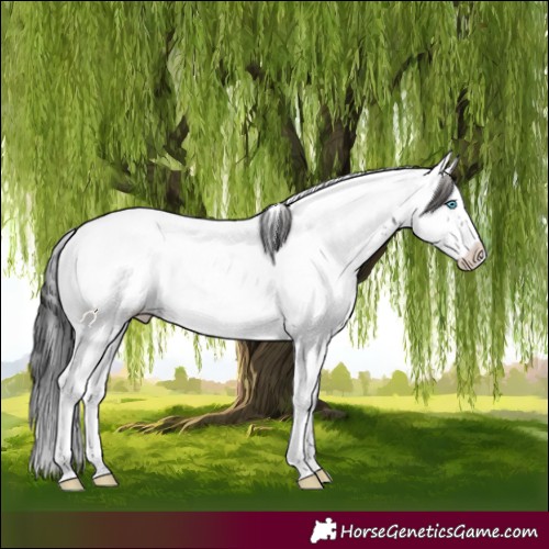 Horse Color:Black Frame