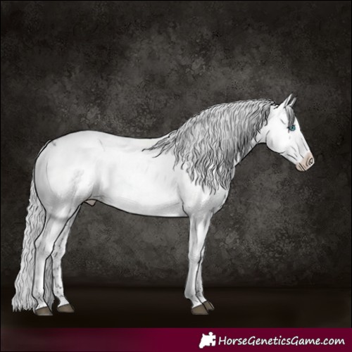 Horse Color:Black Frame