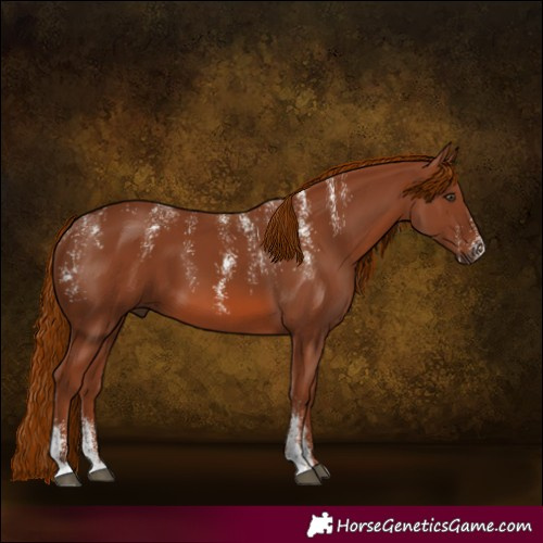 Horse Color:Powder White Chestnut 