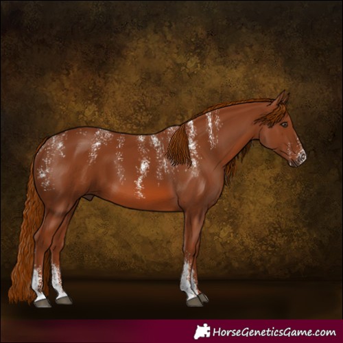 Horse Color:Powder White Chestnut