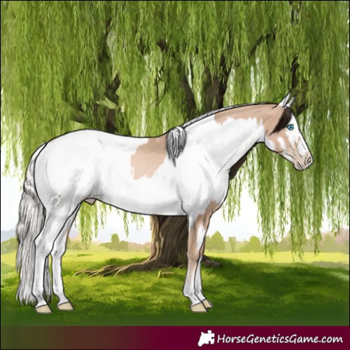 Horse Color:Chocolate Palomino Pearl Tobiano Frame  and Chocolate Palomino Pearl Tobiano Frame 