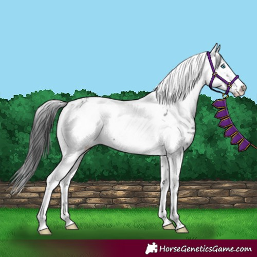 Horse Color:Black Frame