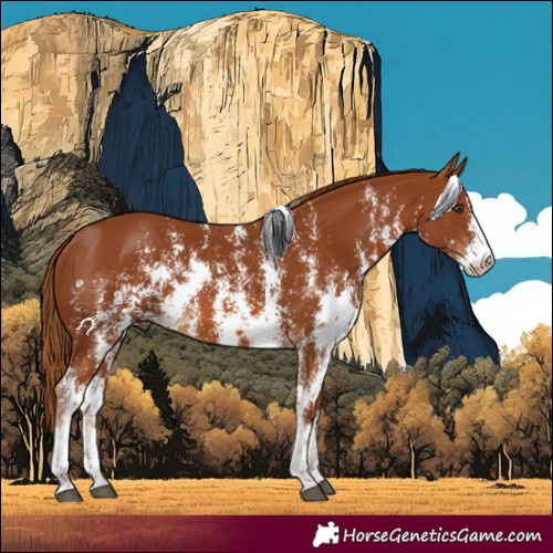 Horse Color:Chestnut Sabino 