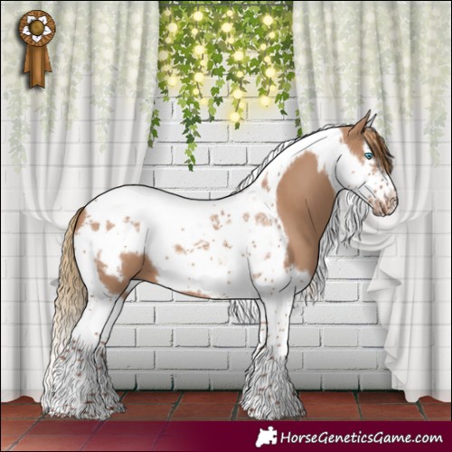 Horse Color:Red Dun Splash Tobiano Frame