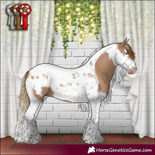 Horse Color:Red Dun Splash Tobiano Frame