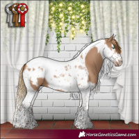 Horse Color:Red Dun Splash Tobiano Frame