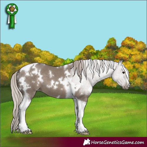 Horse Color:White Spotted Silver Grullo Tobiano 