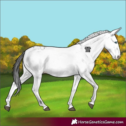 Horse Color:Black Frame 