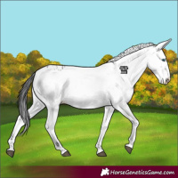 Horse Color:Black Frame