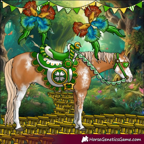 Horse Color:Palomino Sabino 