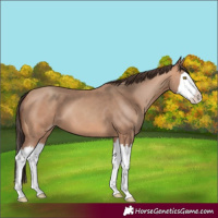 Horse Color:Amber Champagne Splash