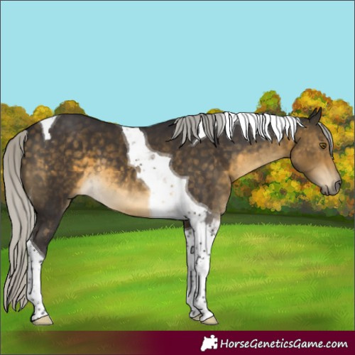 Horse Color:Silver Buckskin Tobiano 
