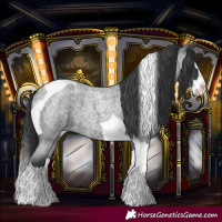 Horse Color:Blue Roan Splash Tobiano 