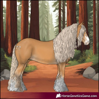 Horse Color:White Spotted Palomino 