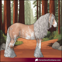 Horse Color:White Spotted Silver Classic Champagne 