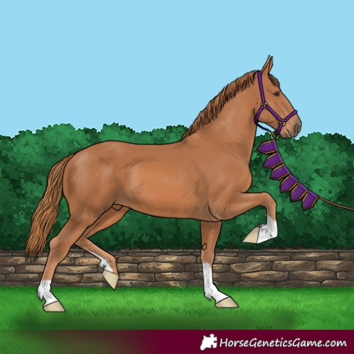 Horse Color:Chestnut 
