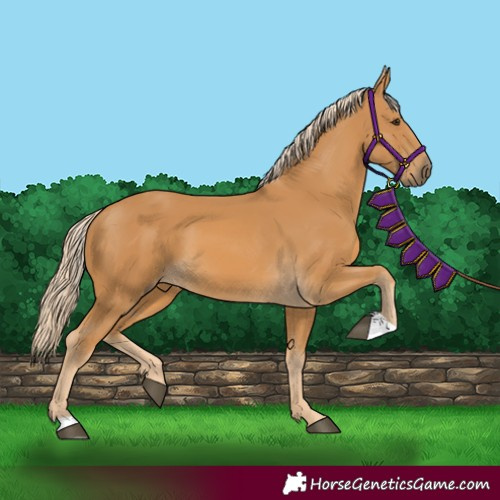 Horse Color:Palomino 