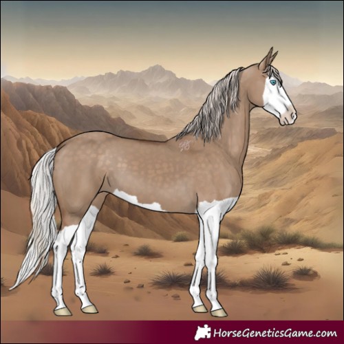 Horse Color:Silver Grullo Splash 
