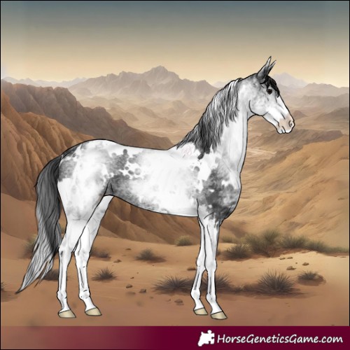 Horse Color:White Spotted Black 