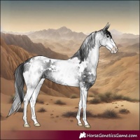Horse Color:White Spotted Black 