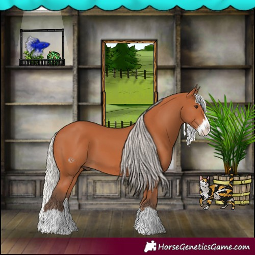 Horse Color:Silver Bay Splash 