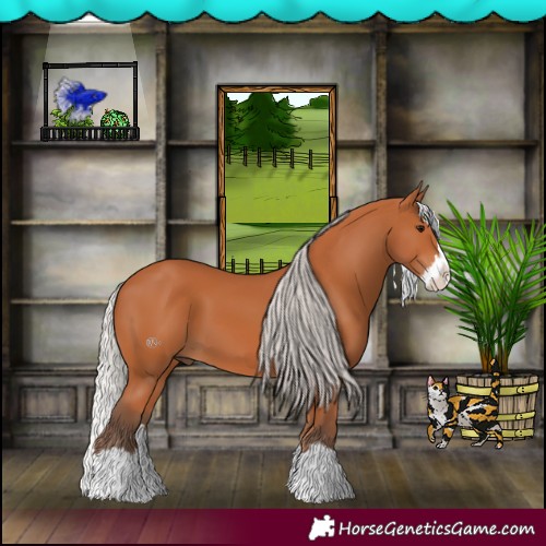 Horse Color:Silver Bay Splash 