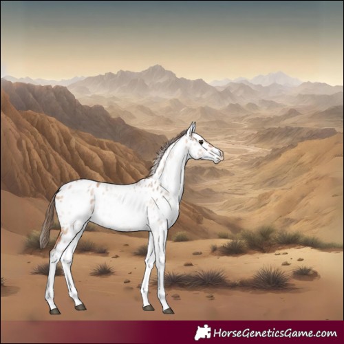 Horse Color:White Spotted Bay Dun Appaloosa Rabicano 