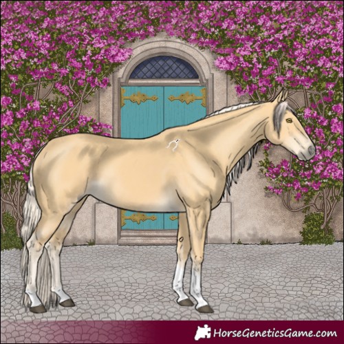 Horse Color:Palomino Tobiano 