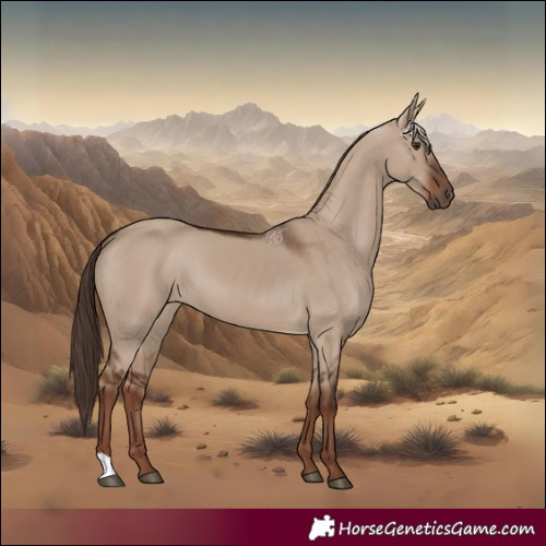 Horse Color:Liver Red Dun 