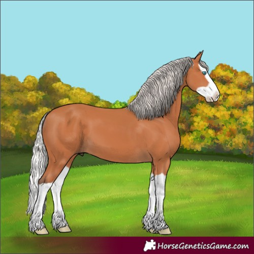 Horse Color:Silver Bay Splash 
