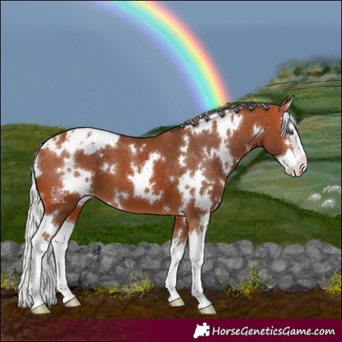 Horse Color:White Spotted Silver Bay Splash Varnish 