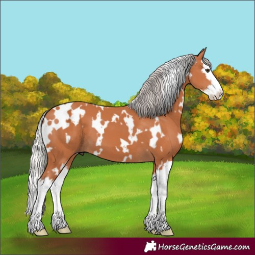 Horse Color:White Spotted Silver Bay Splash