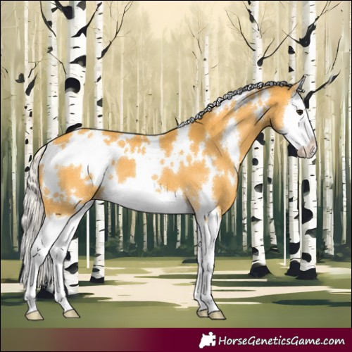 Horse Color:White Spotted Silver Buckskin Splash 