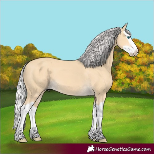 Horse Color:Silver Buckskin Splash 
