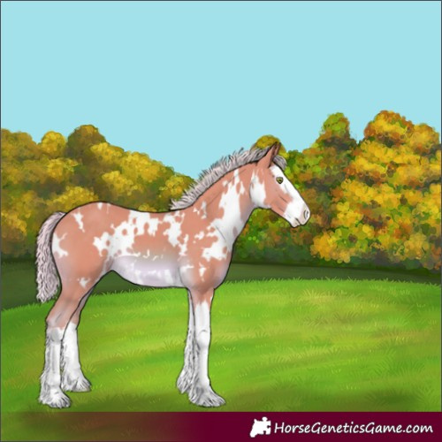 Horse Color:Watercolor White Spotted Chocolate Palomino Mushroom Splash 